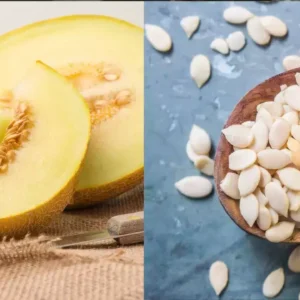 Melon Seeds/ Kharbooj Giri