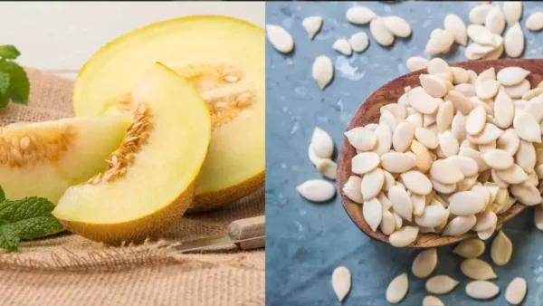 Melon Seeds/ Kharbooj Giri