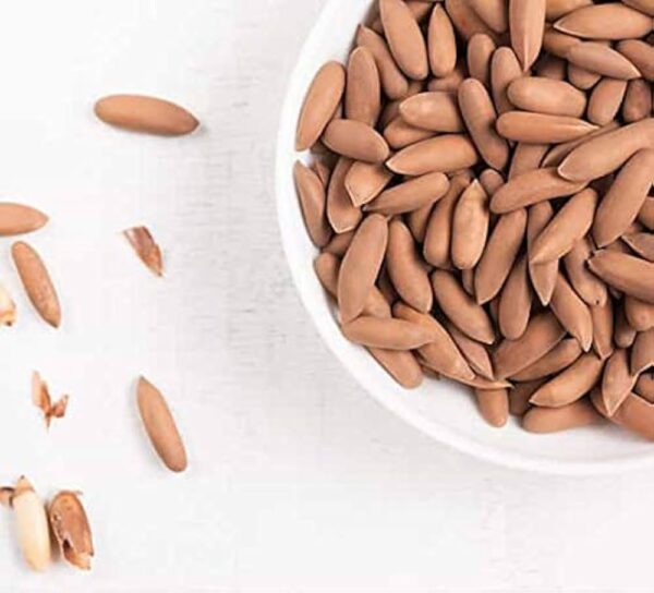 Pine Nut Inshell/Chilgoza - Image 2
