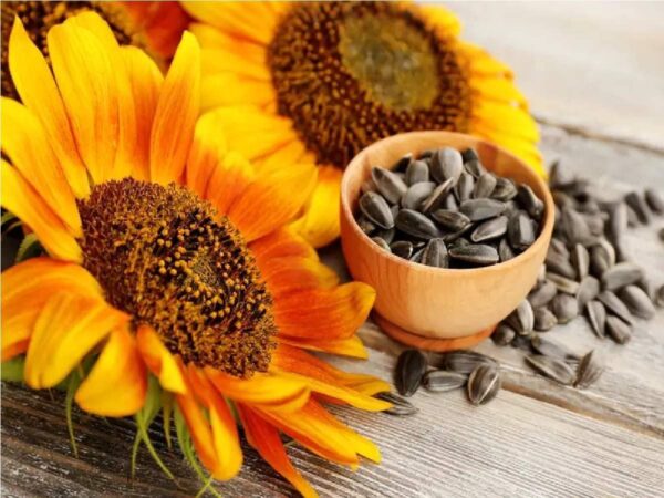 Sunflower Seeds - Image 3