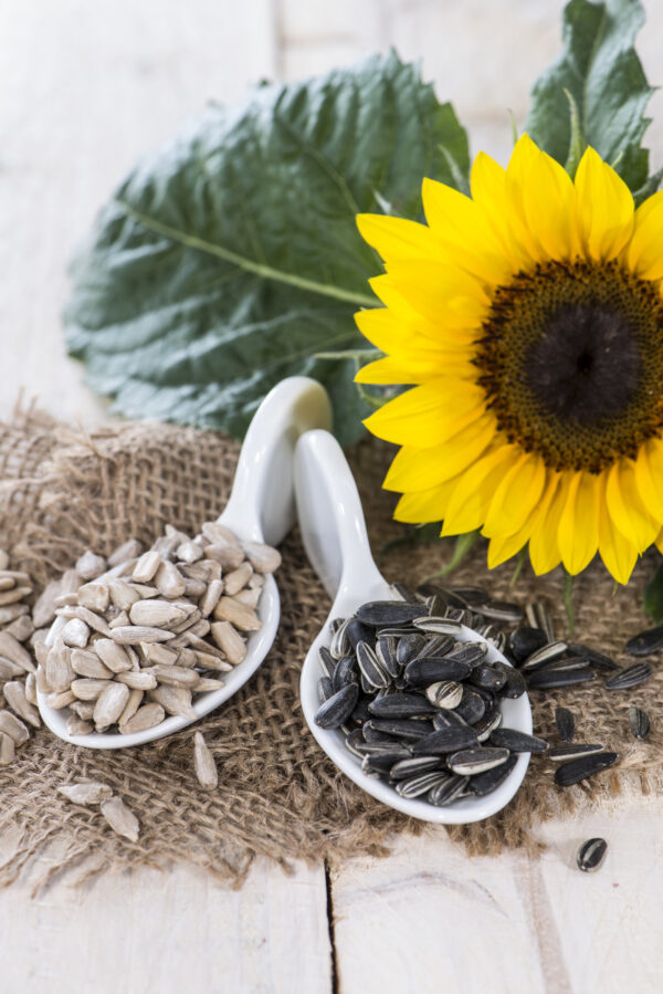 Sunflower Seeds - Image 2