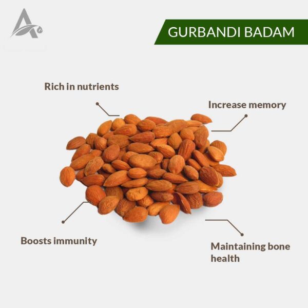 Gurbandi /Chhoti Giri Badaam - Image 2