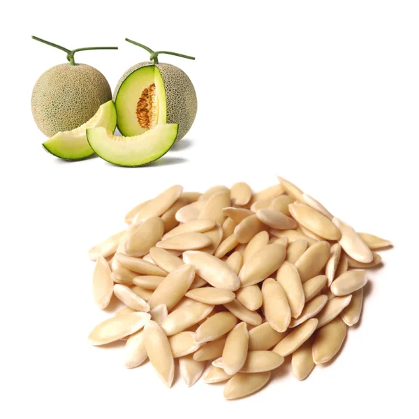 Melon Seeds/ Kharbooj Giri - Image 2